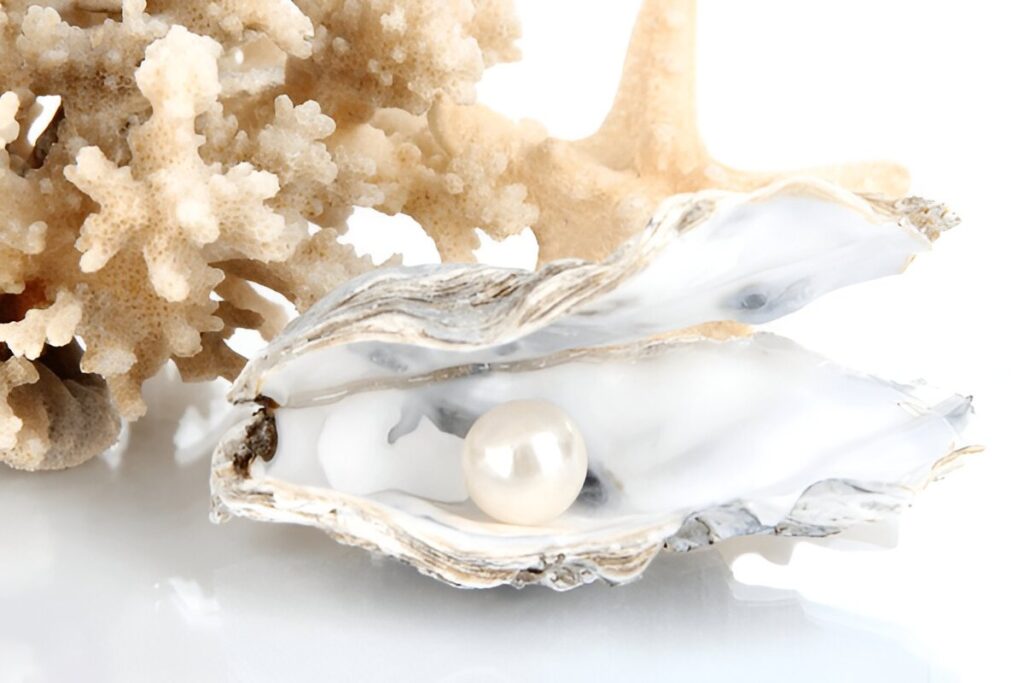 Mother of Pearl Nacre